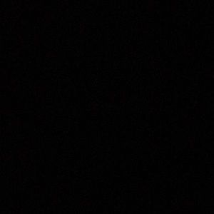 Meet your Posher, Moises